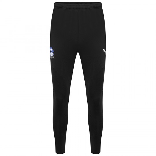 Puma men's best sale training pants